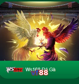 vf88